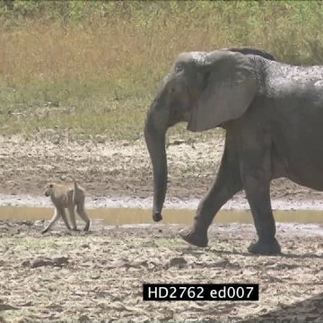 HD2762 ed007_10.01.13.17.mov