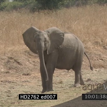 HD2762 ed007_10.01.30.23.mov