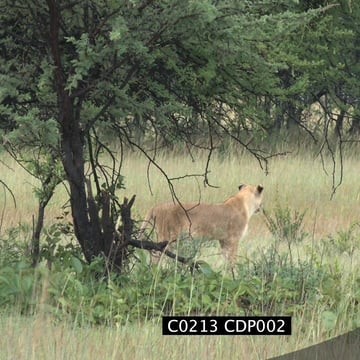 C0213 CDP002_2:13:10:16.mov