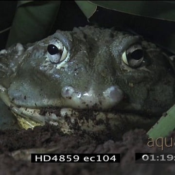 HD4859 ec104_1.19.02.14.mov