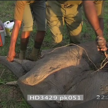 HD3429 pk051_22.20.08.05.mov