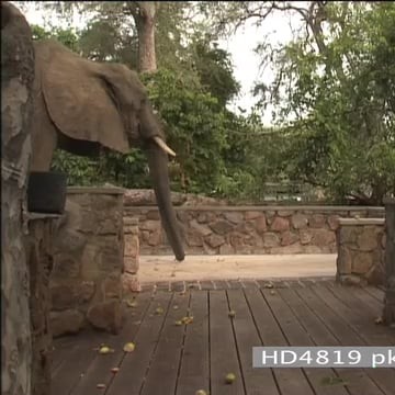 HD4819 pk144_7.49.45.08.mov