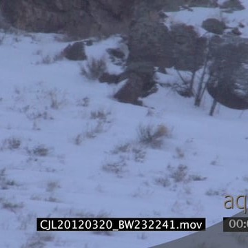 CJL20120320_BW232241.mov