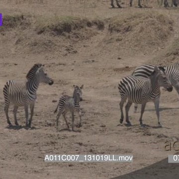 A011C007_131019LL.mov