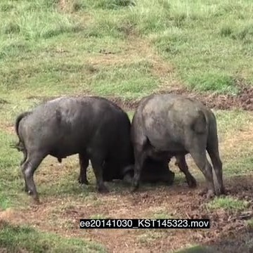 ee20141030_KST145323