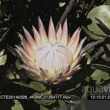 CTE20140328_4KBMC21264117