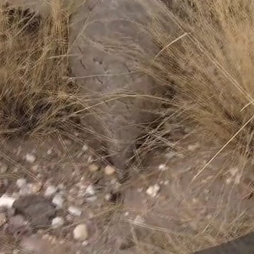 HD0126 oa065_1.12.22.15.mov