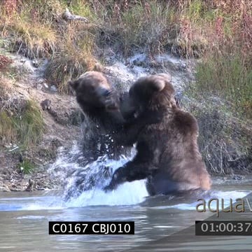 C0167 CBJ010_1.00.25.20.mov