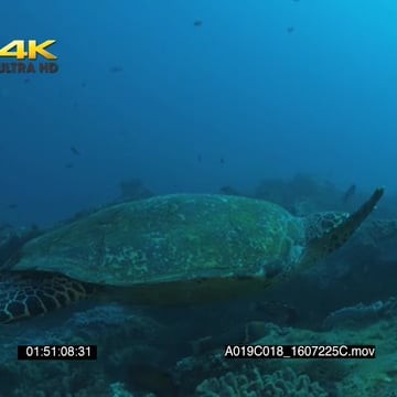 A019C018_1607225C.mov