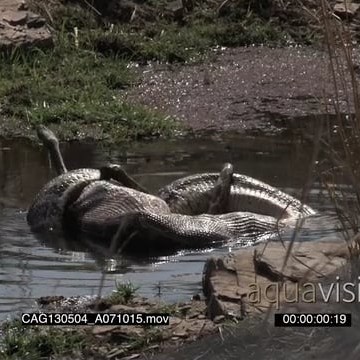 CAG130504_A071015.mov