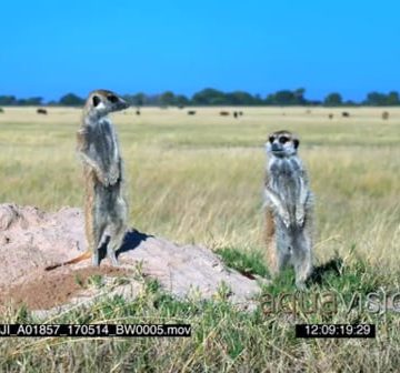 DJI_A01857_170514_BW0005.mov