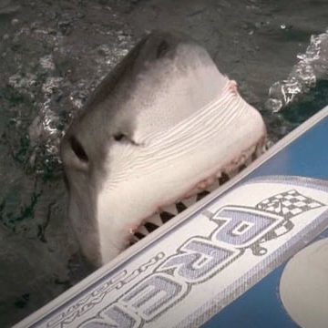 HD5987 ph985_3.06.53.20