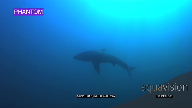 hb20110817_SAEL004203.mov