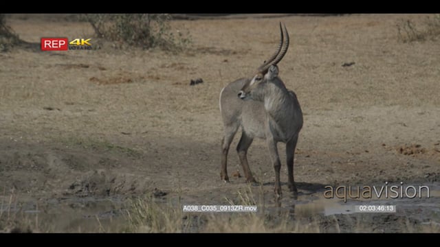 A038_C035_0913ZR.mov