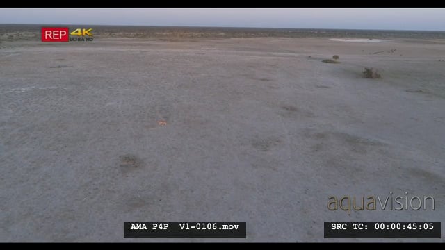 AMA_P4P__V1-0106.mov