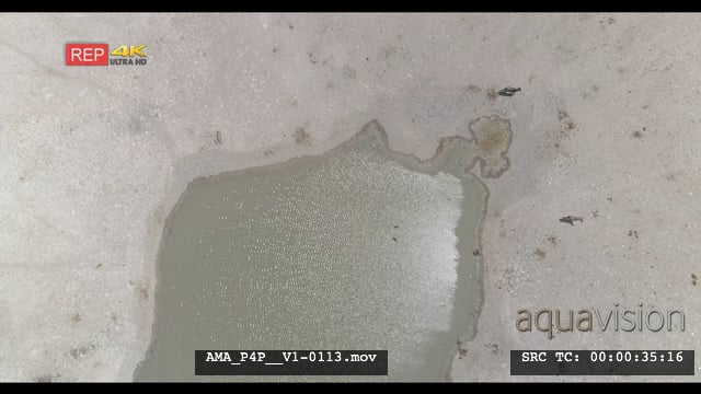 AMA_P4P__V1-0113.mov