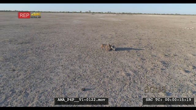 AMA_P4P__V1-0122.mov