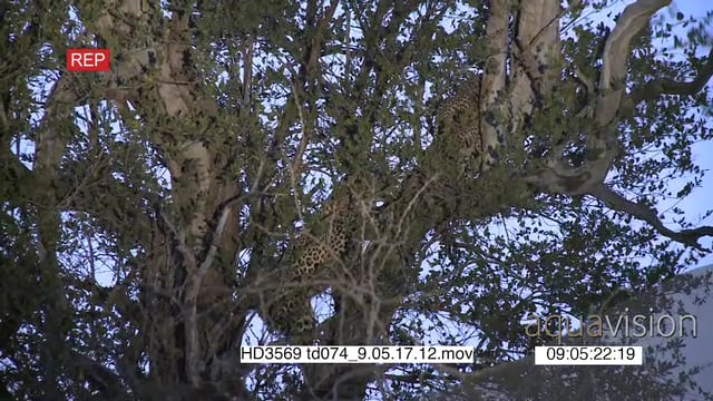 HD3569 td074_9051712.mov