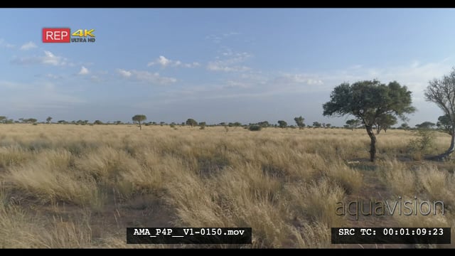 AMA_P4P__V1-0150.mov