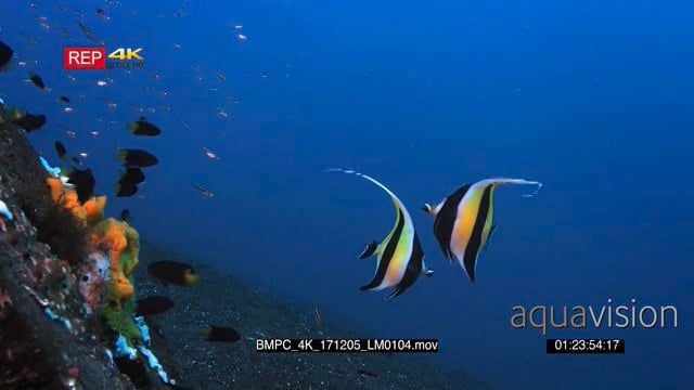 BMPC_4K_171205_LM0104.mov