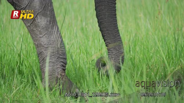 A010_C041_1209XS.mov