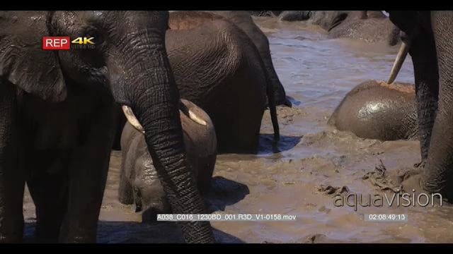 A038_C016_1230BD_001.R3D_V1-0158.mov