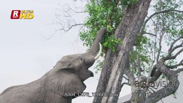 A004_C076_1206BE.mov