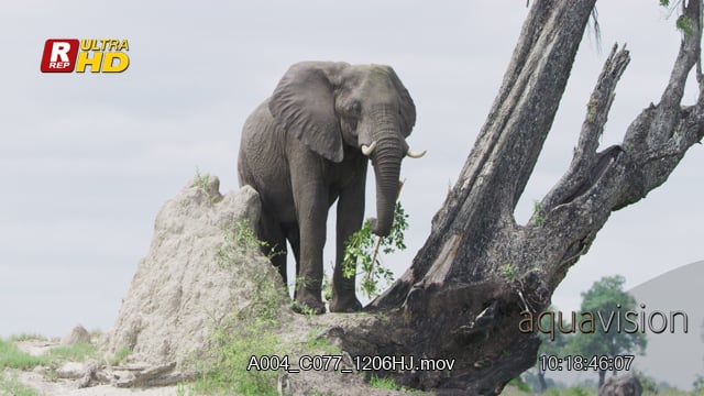 A004_C077_1206HJ.mov