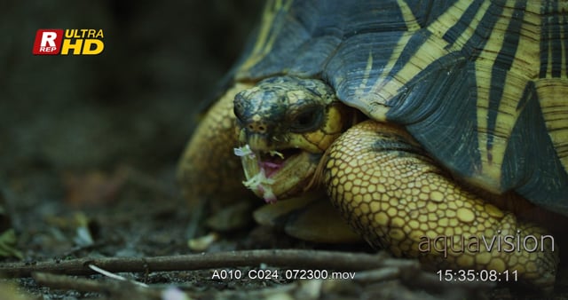 A010_C024_072300.mov