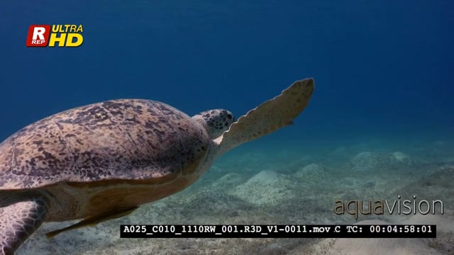 A025_C010_1110RW_001.R3D_V1-0011.mov