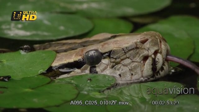 A095_C025_0101ZF.mov