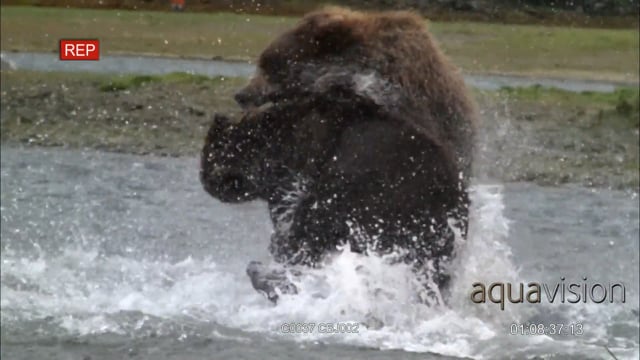 C0037 CBJ002_1083413.mov