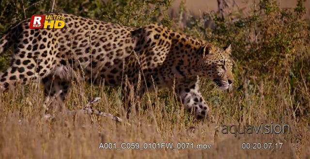 A001_C059_0101FW_0071.mov