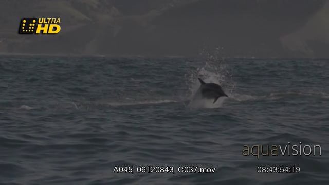 A045_06120843_C037.mov