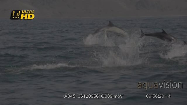 A045_06120956_C089.mov