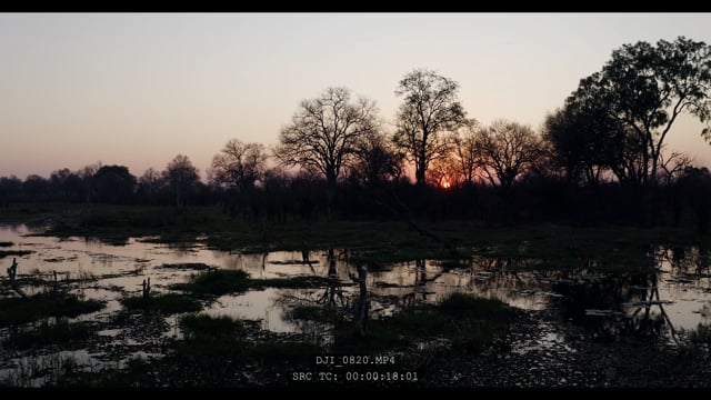 DJI_0820.MP4_V1-0075.mov