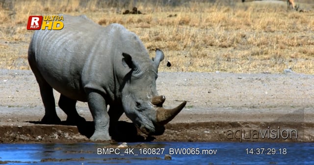 BMPC_4K_160827_BW0065.mov