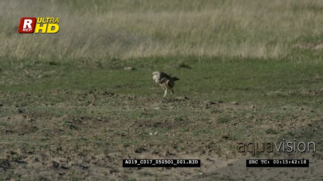 A019_C017_0505O1.mov