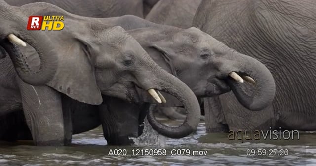 A020_12150958_C079.mov